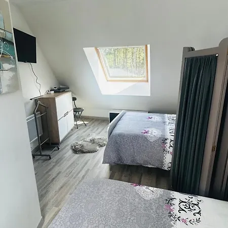 Circuit Des 24h Du Mans - 8 Personnes Brette-les-Pins